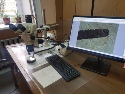 Микроскоп стереоскопический Olympus SZX2-ZB7 для лабораторных исследований для предприятия ОАО "МТЗ"